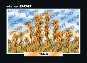 RV073 Trigo (50 pzas)