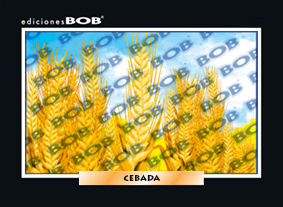 RV074 Cebada (50 pzas)