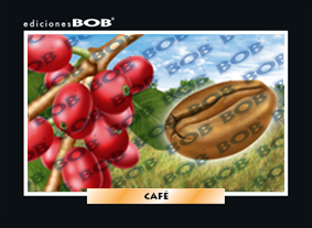 RV075 Café (50 pzas)