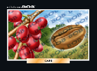 RV075 Café (50 pzas)