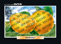 RV081 Naranja (50 pzas)