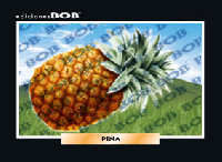 RV082 Piña (50 pzas)