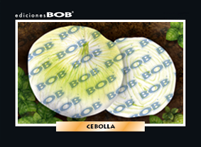 RV086 Cebolla (50 pzas)