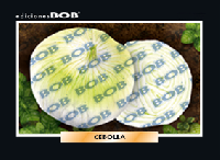 RV086 Cebolla (50 pzas)