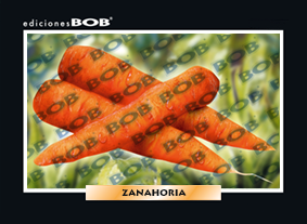 RV088 Zanahoria (50 pzas)