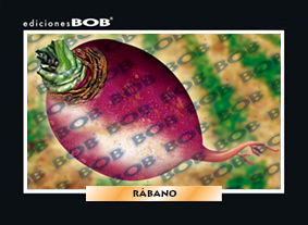 RV089 Rábano (50 pzas)