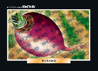 RV089 Rábano (50 pzas)