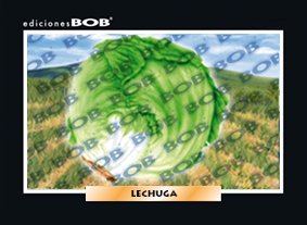RV092 Lechuga (50 pzas)