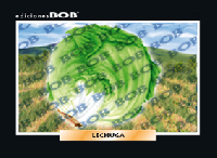 RV092 Lechuga (50 pzas)