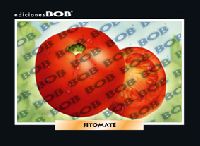 RV093 Tomate / jitomate (50 pzas)