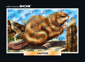 RV094 Castor (50 pzas)