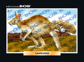 RV095 Canguro (50 pzas)