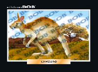 RV095 Canguro (50 pzas)