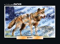 RV096 Lobo (50 pzas)