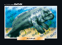 RV101 Manatí (50 pzas)