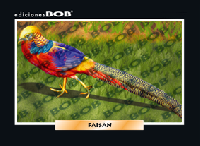 RV102 Faisán (50 pzas)