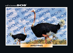 RV107 Avestruz (50 pzas)