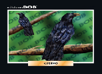 RV108 Cuervo (50 pzas)