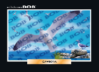 RV109 Gaviota (50 pzas)