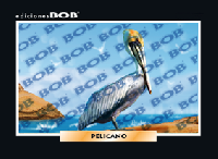 RV116 Pelícano (50 pzas)