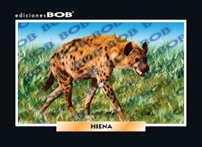 RV120 Hiena (50 pzas)