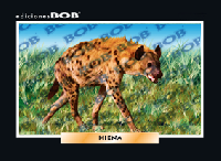 RV120 Hiena (50 pzas)