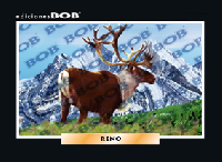 RV124 Reno (50 pzas)