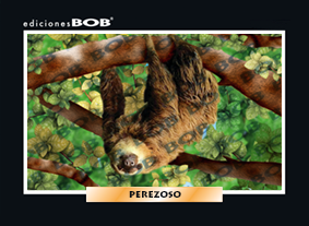 RV127 Perezoso (50 pzas)