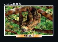 RV127 Perezoso (50 pzas)