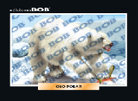 RV129 Oso polar (50 pzas)