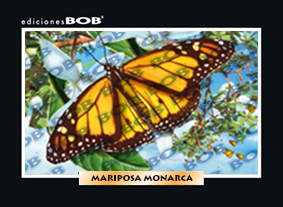 RV135 Mariposa monarca (50 pzas)