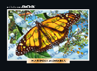 RV135 Mariposa monarca (50 pzas)