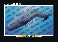 RV136 Cachalote (50 pzas)