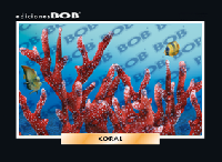 RV138 Coral (50 pzas)