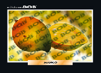 RV140 Mango (50 pzas)