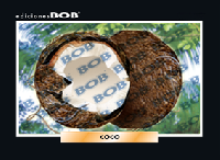 RV142 Coco (50 pzas)