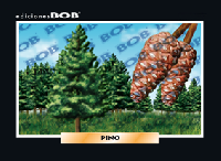 RV146 Pino (50 pzas)