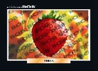 RV152 Fresa (50 pzas)