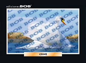 RV154 Cisne (50 pzas)