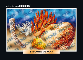 RV155 Esponja de mar (50 pzas)