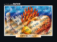 RV155 Esponja de mar (50 pzas)