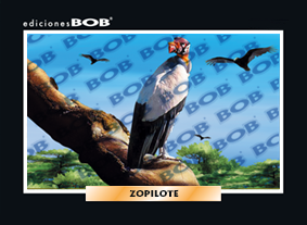 RV158 Zopilote (50 pzas)