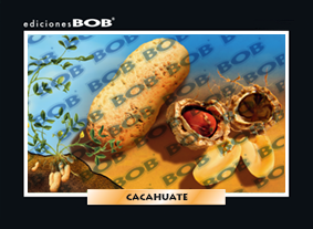 RV161 Cacahuate (50 pzas)