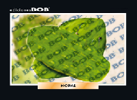 RV162 Nopal (50 pzas)