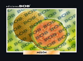 RV164 Melón (50 pzas)