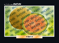 RV164 Melón (50 pzas)