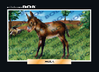 RV165 Mula (50 pzas)