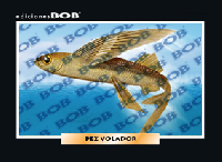 RV167 Pez volador (50 pzas)