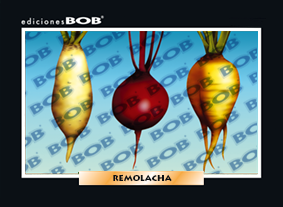 RV170 Remolacha (50 pzas)