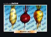 RV170 Remolacha (50 pzas)